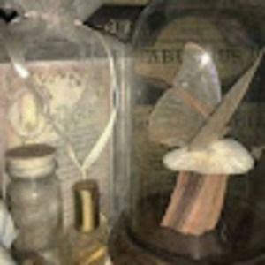 Meet your Posher, Dani